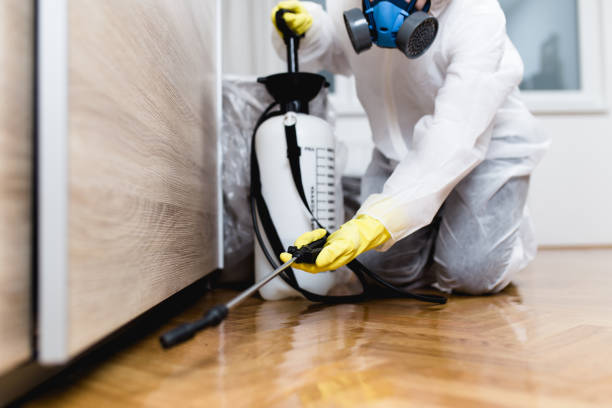 Best Local Pest Control Services  in Perry, UT