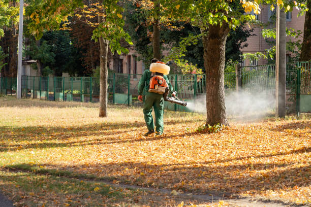 Best Insect Control  in Perry, UT