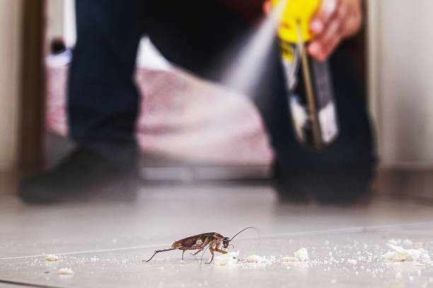 Professional Pest Control in Perry, UT